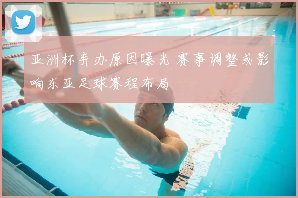 亚洲杯弃办原因曝光 赛事调整或影响东亚足球赛程布局