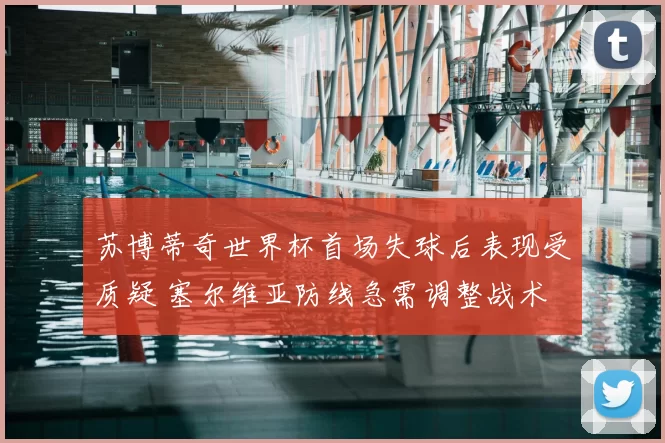 苏博蒂奇世界杯首场失球后表现受质疑 塞尔维亚防线急需调整战术