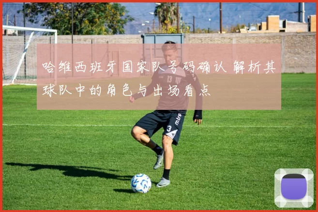 哈维西班牙国家队号码确认 解析其球队中的角色与出场看点